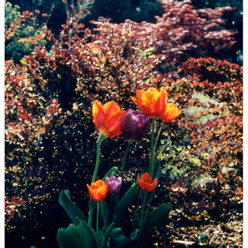 Our Landscape Designs