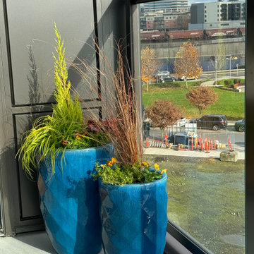 Balcony Bright Pots