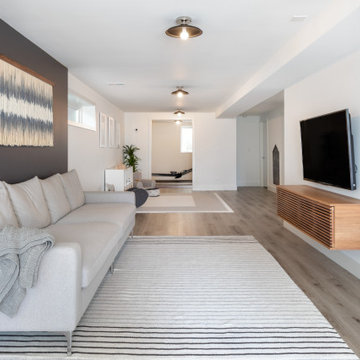 Magnolia Basement Remodel
