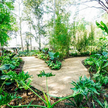 Rienzi Mansion - MFAH - Landscape Design & Installation