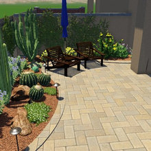 Desert Landscaping