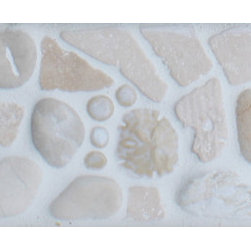 "Sand Dollars - Tidal" Border - Tile