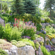 Ponds