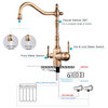 Two Handle Swivel Spout Water Purifier Sink Kitchen Faucet, Golden