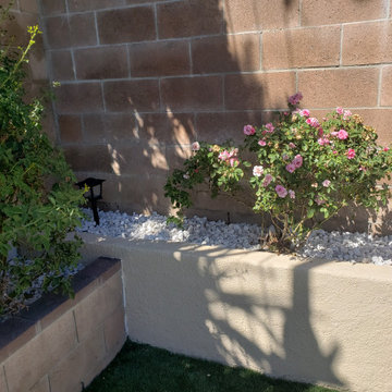 Backyard clean up and remodel
