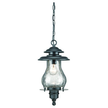 Acclaim Blue Ridge 1-Light Outdoor Hanging Lantern 8206BK - Matte Black