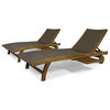 Noble House Banzai Outdoor Wicker and Wood Chaise Lounge in Brown (Set of 2)