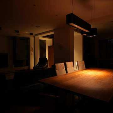 Single family home with Lighting design and Lutron lighting control