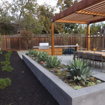 Willow Glen