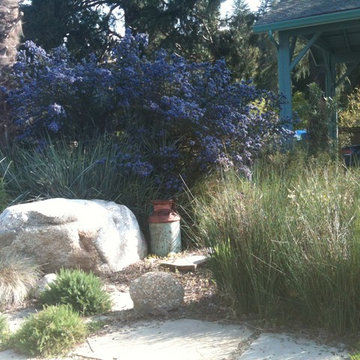 Ceanothus Welcomes You!