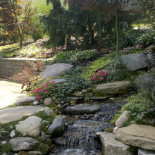 backyards