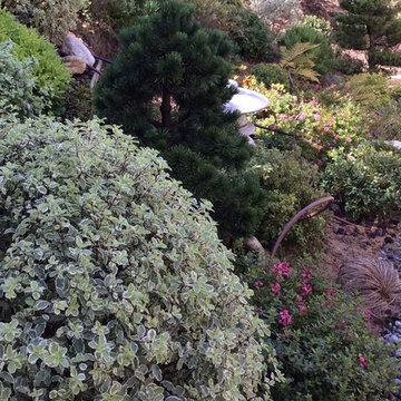 Fusaï - jardin japonais