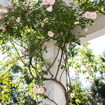 Pergola at Coastal Home in Chatham, Massachusetts