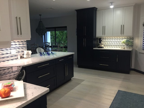 Beach Condo Kitchen Reno