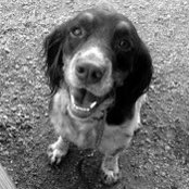 Kathryn Patton's photo