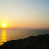 Samah Shammout's photo