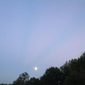 Patty Roe's photo