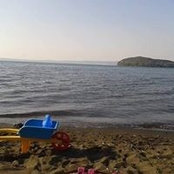 Marina Benedetti's photo
