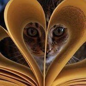 Barbara Clark's photo
