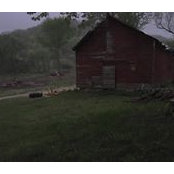 Jed Olson's photo