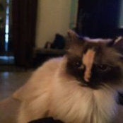 Joyce Anderson's photo