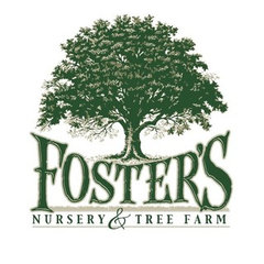Foster's Nursery & Tree Farm