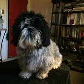 Richard Cadenhead's photo
