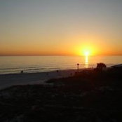 David Pianka's photo