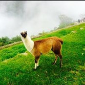 Foto de Bernardo Nelson
