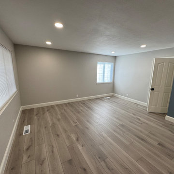 Home Remodel/ One Bath/paint/popcorn removal/LED Can lights/baseboards/Flooring