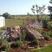 Front Yard Landscape