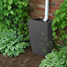 Landscape Ideas