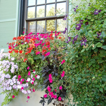 Mediterranean Garden