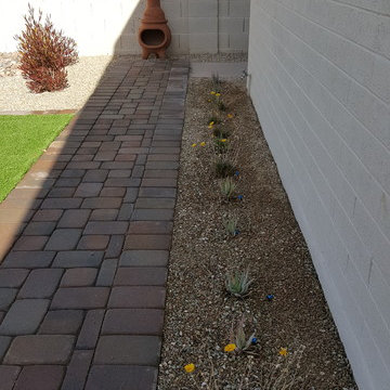 Backyard Remodel