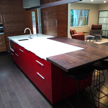 Home Remodel - Custom Cabinets | Lauw House - Point Loma