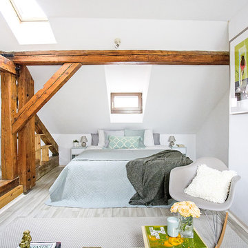 Attic in Kampa, Prague 1