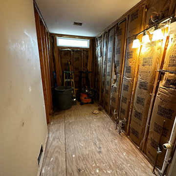 Upcoming Novi main bathroom