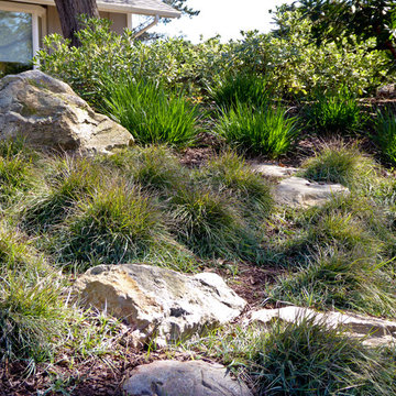Woodland by the Beach
