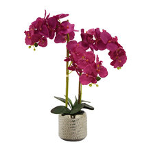 Table Top Decor
