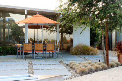 Mid-sized minimalist backyard patio photo in San Francisco