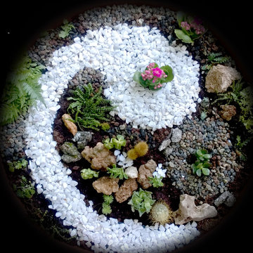 Un giardino in 0,20 metri quadrati