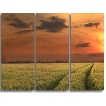 "Sunset over a Field of Cereals" Wall Art, 3 Panels, 36"x28"