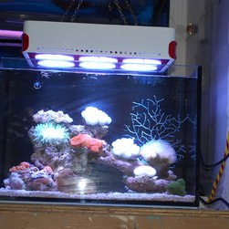 LED Aquarium Light - Products