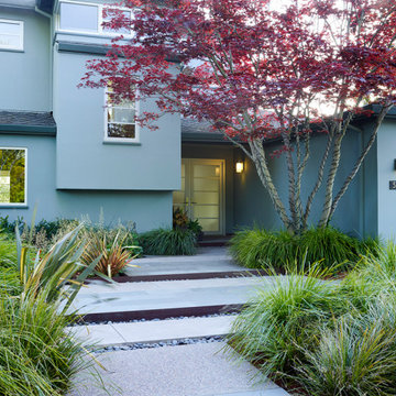Oakland Hill Top HIdeaway  Garden