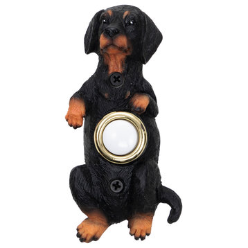 Painted Black and Tan Dachshund Begging Doorbell