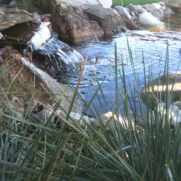 Water Features