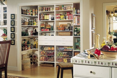 Example of a classic kitchen pantry design in Other