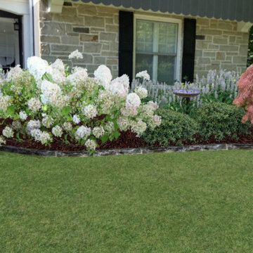 Foundation Plantings