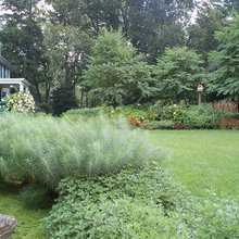 pollinator garden