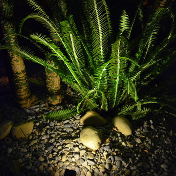 Un jardin original à Toulon